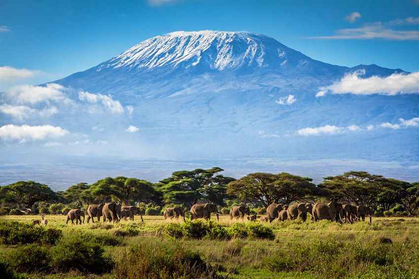 3DAYS AND 2NIGHTS ITINERARY IN AMBOSELI