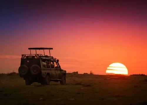 How Much Does A Kenyan Safari Really Cost? A Practical Guide To Budgeting For The Wild
