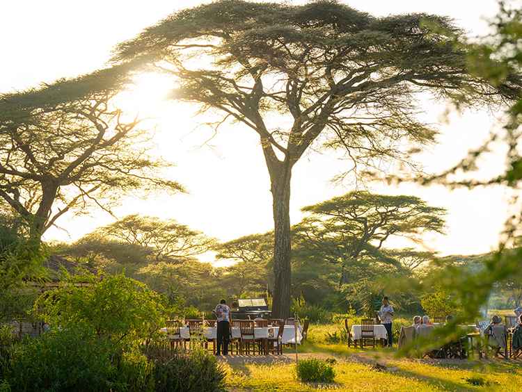 Best Time To Visit Ndutu. A Monthby Month Guide