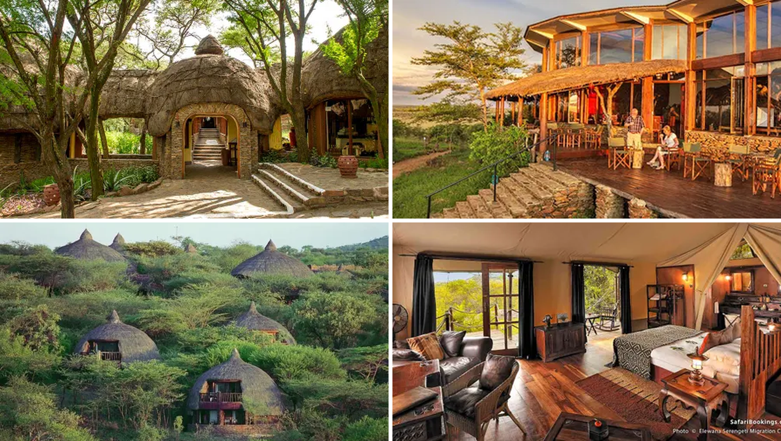 Sleeping Beneath The Serengeti Sky