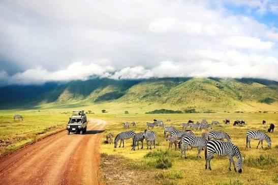 BEST TIME IN TANZANIA