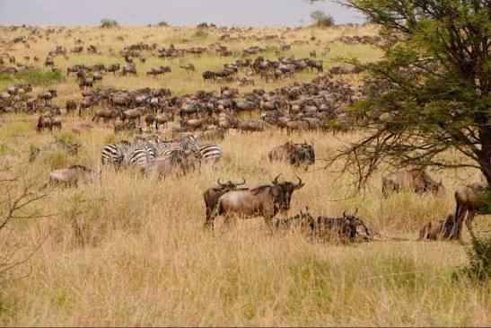 BEST TIME IN KENYA