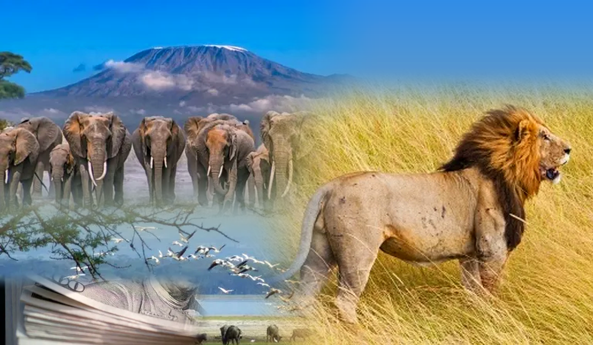 How Far Does $2,000 Go In Kenya?
