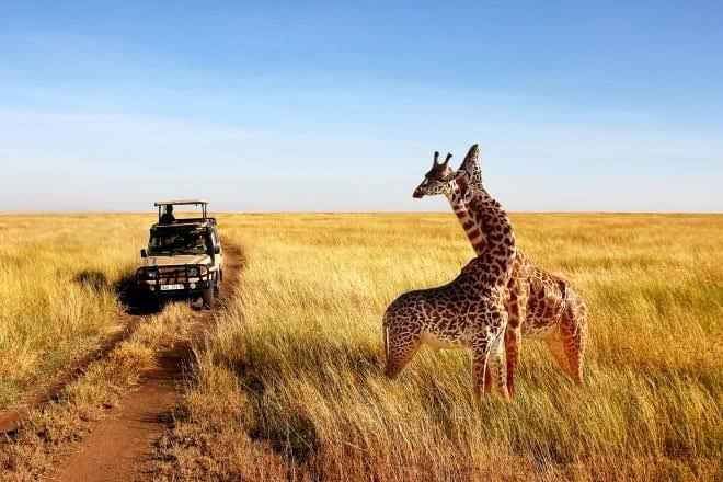 KENYA SAFARI FROM THE UK
