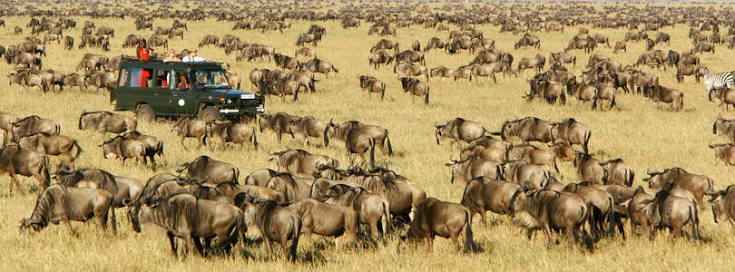 HOW AMERICANS CAN PLAN A KENYA SAFARI