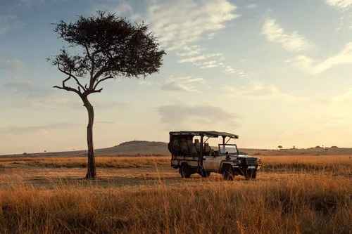 How Much Does A Kenya Safari Cost?