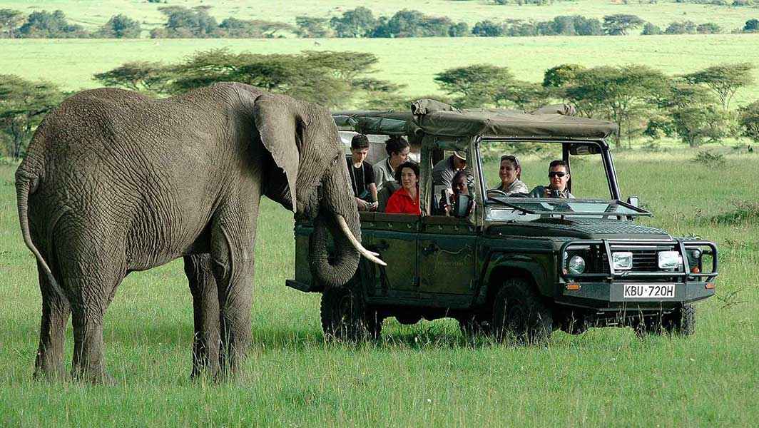 The Complete Kenya Safari Planning Guide For  2027